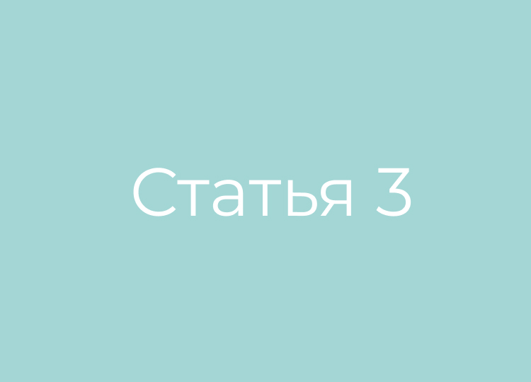 Статья номер 3